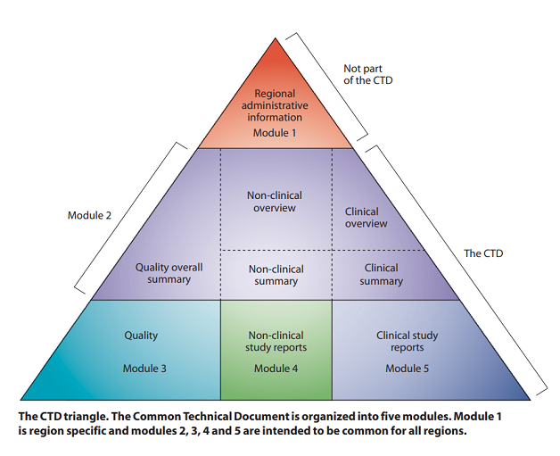 CTD triangle