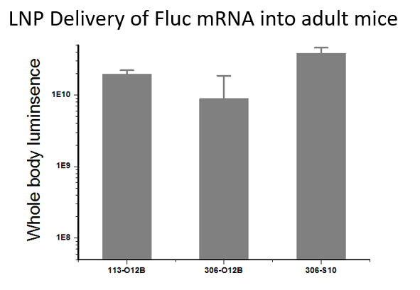 Testing new LNPs (lipid nanoparticles) for delivery of Fluc mRNA in ...
