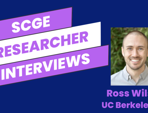 Meet the Researcher: Ross Wilson