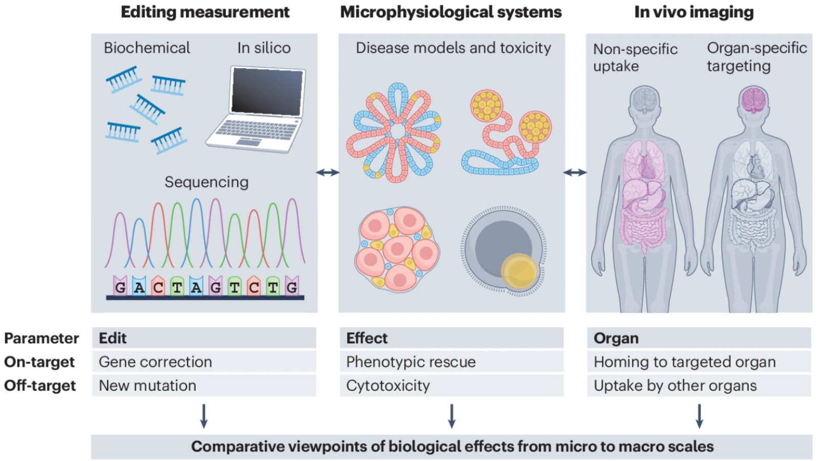 Biological Effects Paper